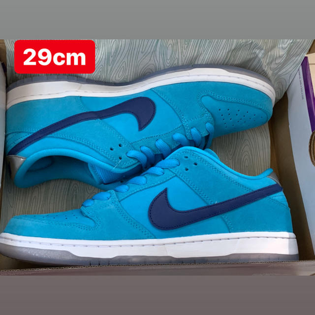 NIKE SB DUNK LOW PRO BLUE FURY 29cm