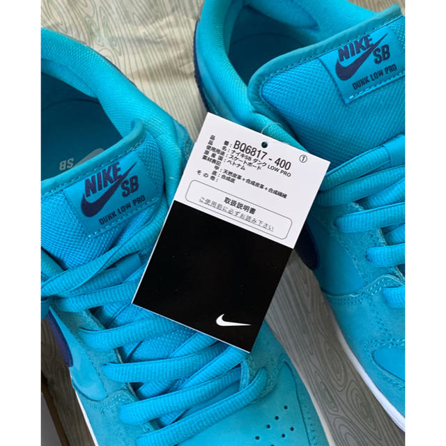 Nike sb dunk low pro blue fury 29cm