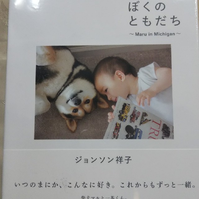 柴犬写真集  ことばはいらないと、ぼくのともだち エンタメ/ホビーの本(アート/エンタメ)の商品写真
