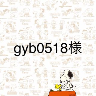 gyb0518様専用　(その他)