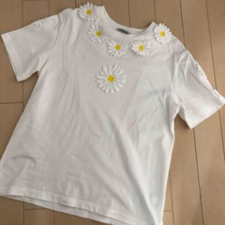 ドルチェアンドガッバーナ(DOLCE&GABBANA)のドルチェ&ガッバーナ　12(Tシャツ/カットソー)