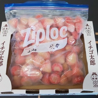 奈良県産 高級苺 淡雪 冷凍イチゴ 4キロ(フルーツ)