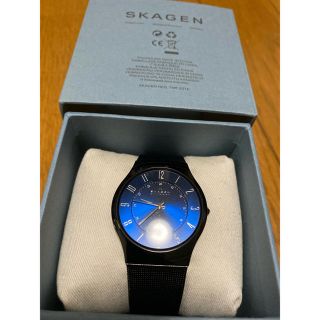 スカーゲン(SKAGEN)のSKAGEN 腕時計　チタニウム(腕時計(デジタル))