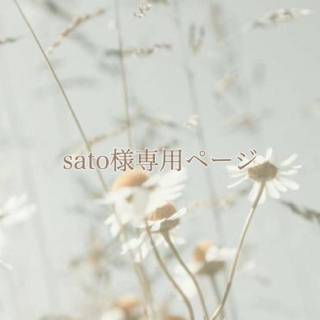 sato様専用ページですの通販 by A|ラクマ