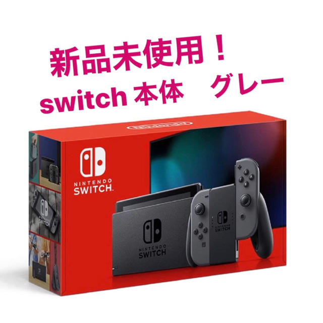 見事な創造力 Nintendo Switch - Nintendo Switch Joy-Con (L) / (R) グレー　本体 家庭用ゲーム機本体