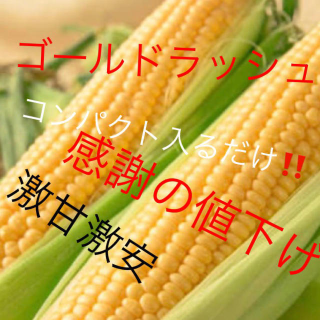 激甘すぎゴールドラッシュとうもろこしコンパクト入るだけ6月発送予定❗️専用２箱 食品/飲料/酒の食品(野菜)の商品写真