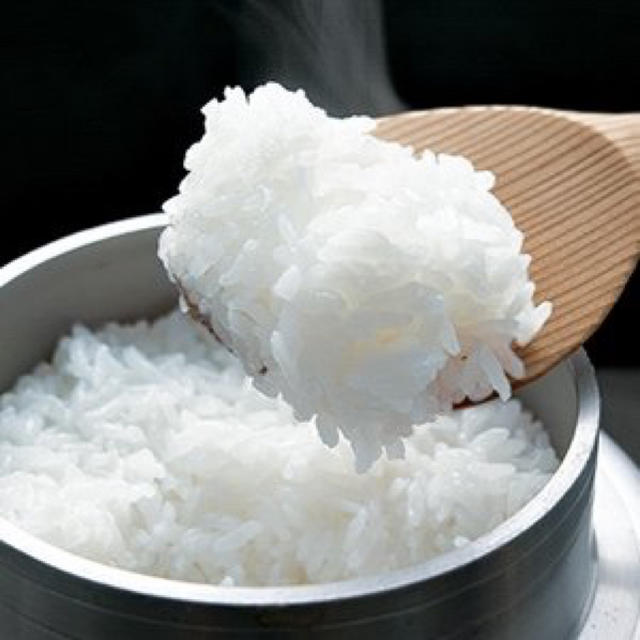 完全無農薬⭐無化学肥料 おぼろづき玄米10㌔