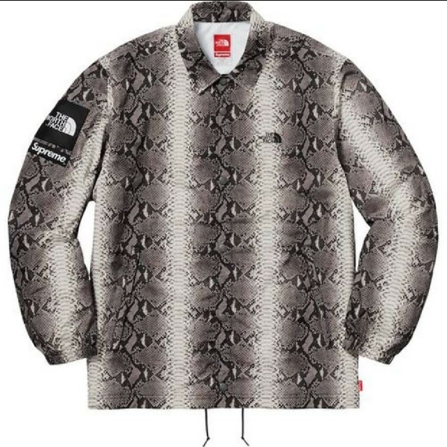 Supreme North Face Snake Skin Jacket