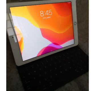 iPad Pro 9.7 256ＧＢ Simフリー(ドコモ) おまけ(タブレット)