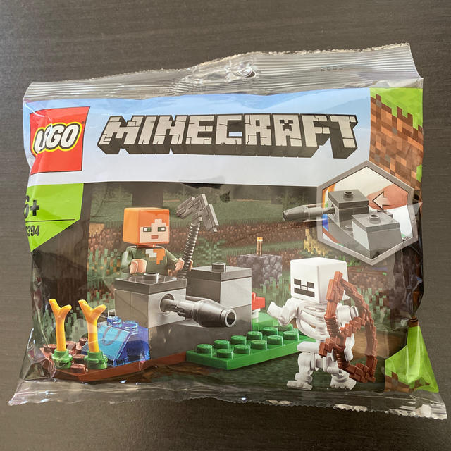 Lego - LEGO minecraft レゴ マインクラフト LEGO正規品の通販 by クーポン使用してください！｜レゴならラクマ