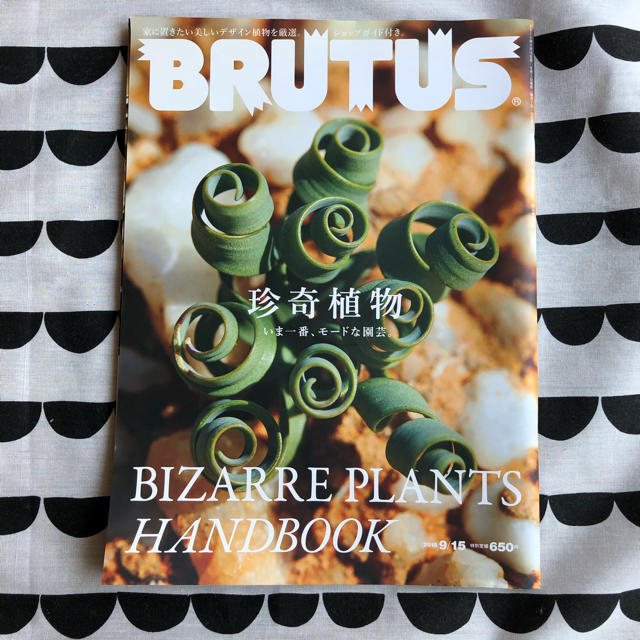 【BRUTUS】珍奇植物 エンタメ/ホビーの雑誌(その他)の商品写真