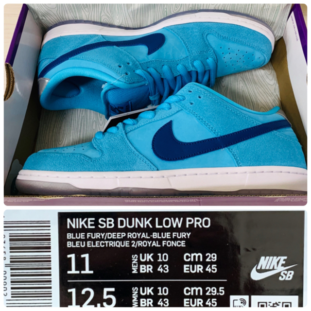 NIKE SB DUNK LOW PRO BLUE FURY 29cm