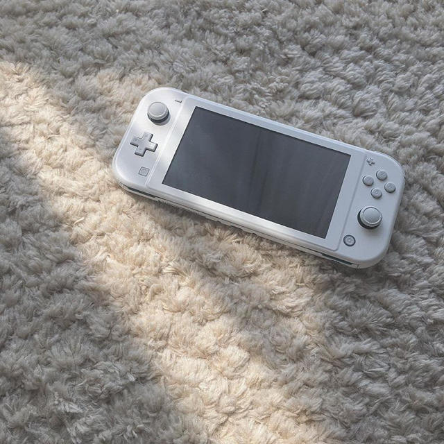 Switchライト 超特価セール services.hiphopstreets.com