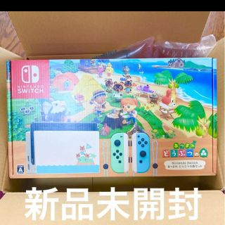 ニンテンドースイッチ(Nintendo Switch)のあつまれどうぶつの森セット NINTENDO Switch 本体同梱版(家庭用ゲーム機本体)