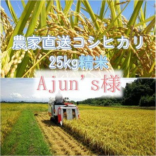 Ajun's様　コシヒカリ精米(米/穀物)