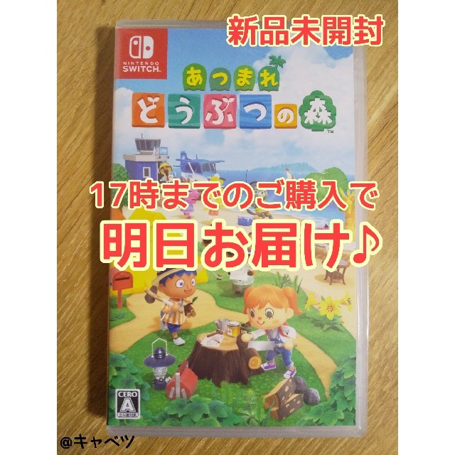 Switch あつまれ どうぶつの森