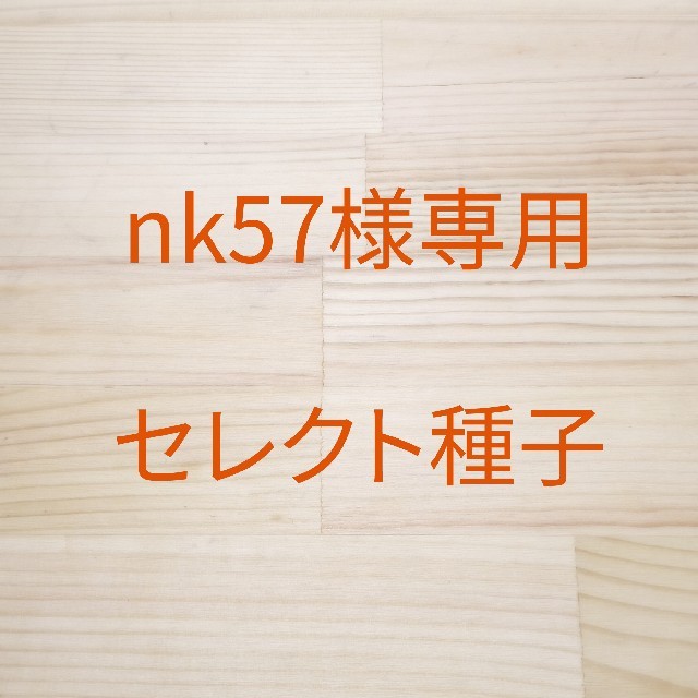 nk57様専用 セレクト種子 大豆もやし x 2袋、グリーンマッペ x 2袋 食品/飲料/酒の食品(野菜)の商品写真