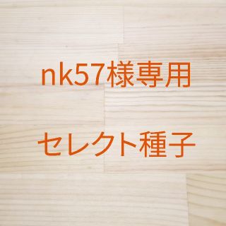 nk57様専用 セレクト種子 大豆もやし x 2袋、グリーンマッペ x 2袋(野菜)