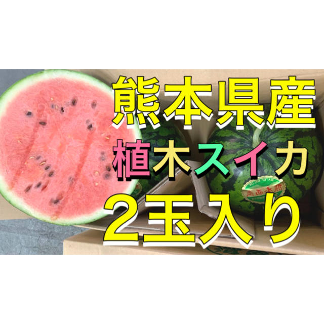 熊本県産植木スイカ2玉入り 食品/飲料/酒の食品(フルーツ)の商品写真