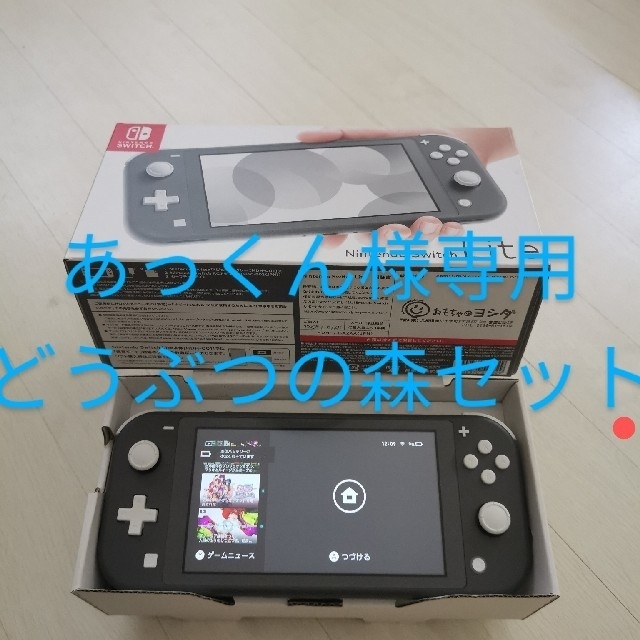 SwitchLite　グレー