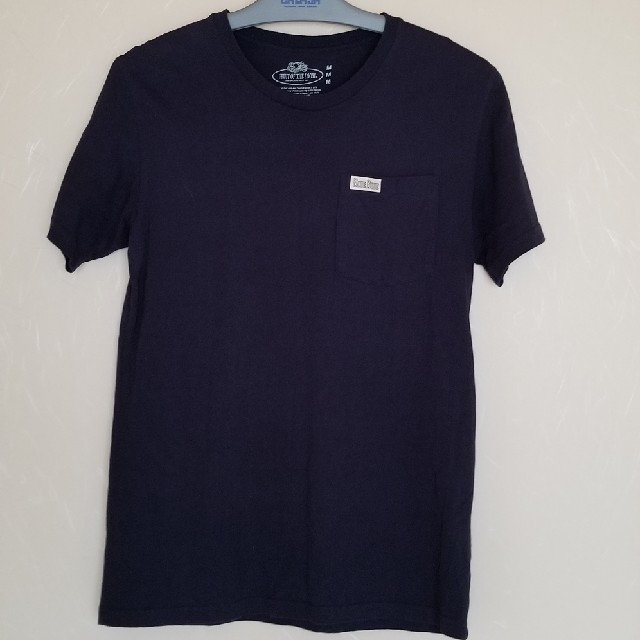 BLUE BLUE(ブルーブルー)のフルーツオブザルーム×BLUEBLUEコラボTシャツ　ネイビー(紺) メンズのトップス(Tシャツ/カットソー(半袖/袖なし))の商品写真