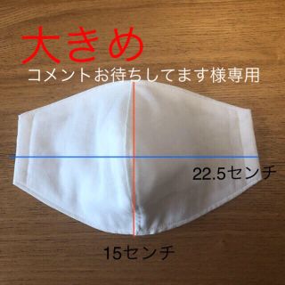 インナーマスク　白　大きめ　成人男性用　2枚(日用品/生活雑貨)