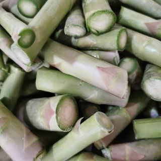 出荷したアスパラの下　訳あり品　訳あり　アスパラガス　アスパラ(野菜)