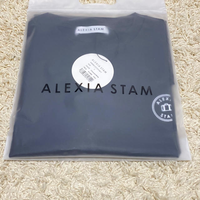 ALEXIA STAM(アリシアスタン)のアリシアスタン　Tシャツ レディースのトップス(Tシャツ(半袖/袖なし))の商品写真