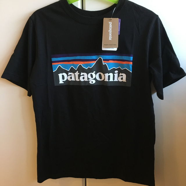 patagonia(パタゴニア)の新品　パタゴニア　Tシャツ　X S キッズ/ベビー/マタニティのキッズ服男の子用(90cm~)(Tシャツ/カットソー)の商品写真