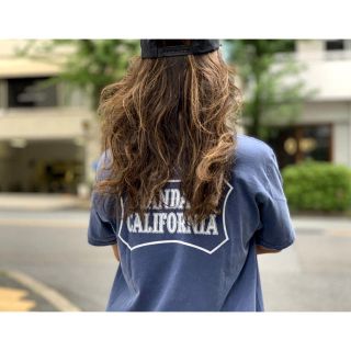 スタンダードカリフォルニア(STANDARD CALIFORNIA)の新品スタンダードカリフォルニア Shield Logo Limited Tシャツ(Tシャツ/カットソー(半袖/袖なし))