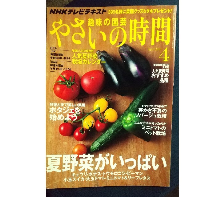 NHK 趣味の園芸 やさいの時間 2013年 04月号 エンタメ/ホビーの雑誌(専門誌)の商品写真