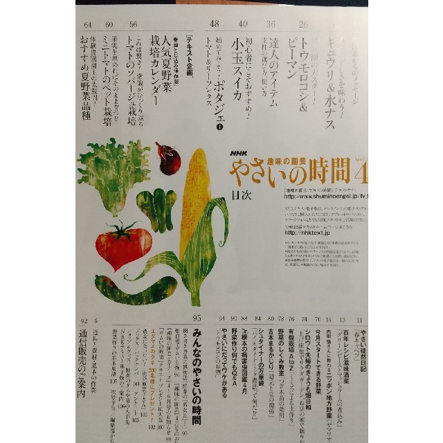 NHK 趣味の園芸 やさいの時間 2013年 04月号 エンタメ/ホビーの雑誌(専門誌)の商品写真