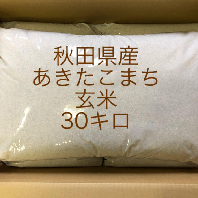 食品秋田県産　あきたこまち　玄米　30キロ 令和元年産