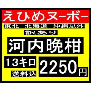 ★わか大３　　えひめヌーボーの 訳あり　河内晩柑　1３キロ(フルーツ)