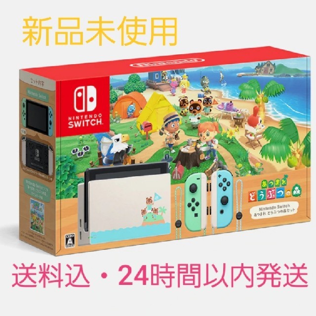 Nintendo Switch　あつまれどうぶつの森セット