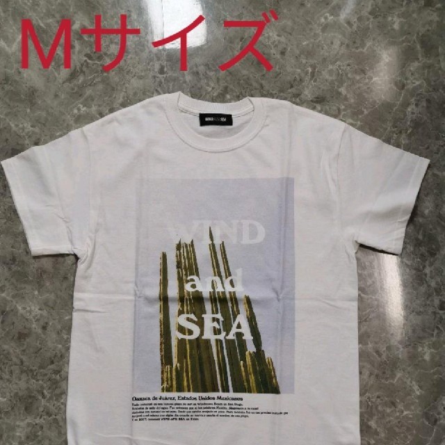 新品 約20%off WIND AND SEA  Tシャツ ウインダンシー