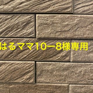 マスク(THE MASK)の★はるママ様専用 ★マスクカバー(その他)