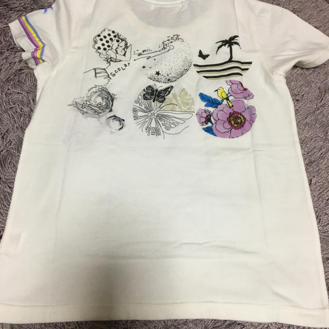 ScoLar(スカラー)のSCOLAR   Tシャツ レディースのトップス(Tシャツ(半袖/袖なし))の商品写真