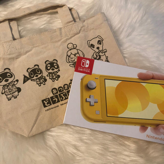 ニンテンドースイッチライト&あつまれどうぶつの森 いろいろセット