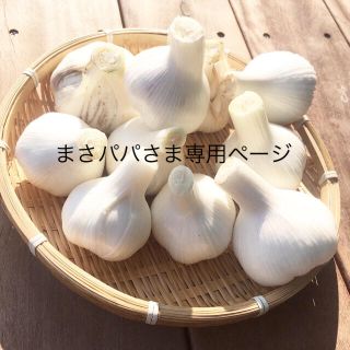 香川県産   生にんにく2kg どろんこ農家(野菜)