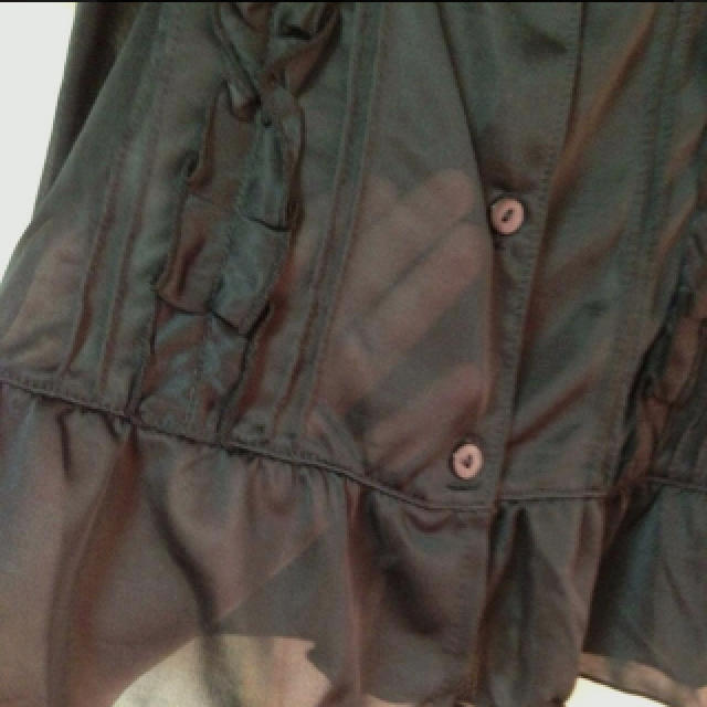 シースルーな上着 レディースのトップス(カットソー(半袖/袖なし))の商品写真