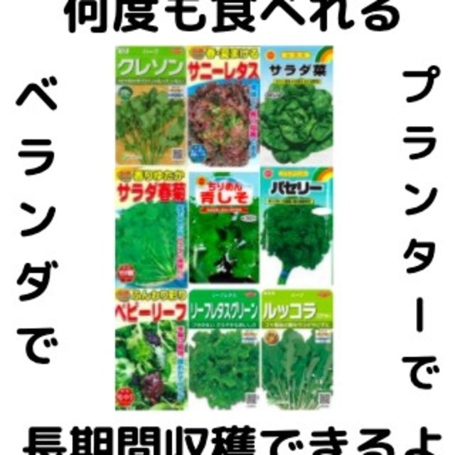 【すぐに何度でも収穫できるサラダ野菜の種9セット！】ベランダ、プランターで 食品/飲料/酒の食品(野菜)の商品写真