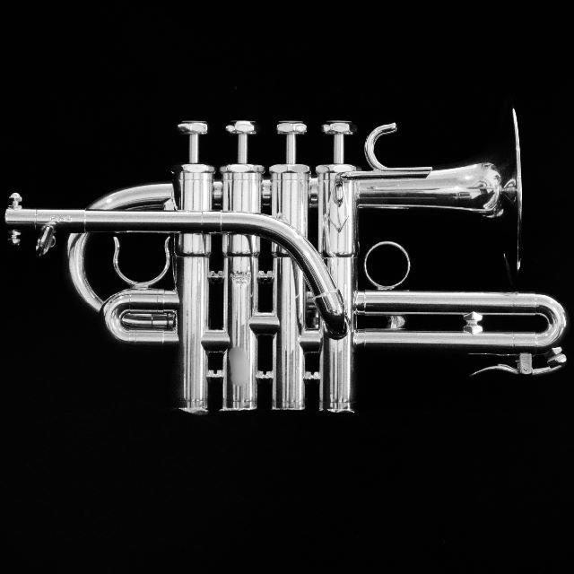 【新品】Schilke Piccolo P7-4 SP 楽器の管楽器(トランペット)の商品写真