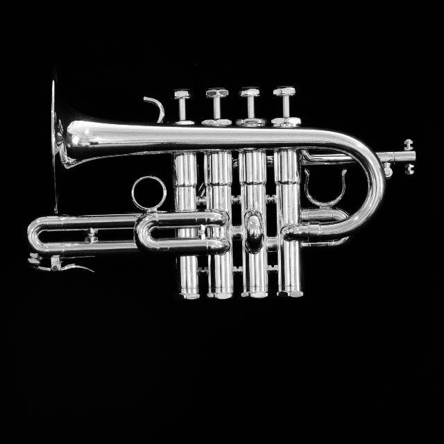 【新品】Schilke Piccolo P7-4 SP 楽器の管楽器(トランペット)の商品写真