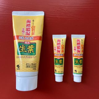 コバヤシセイヤク(小林製薬)の小林製薬　薬用　生葉(歯磨き粉)