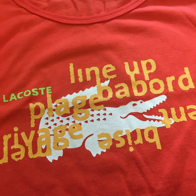 LACOSTE(ラコステ)のラコステ　レディース　トップス　半袖 レディースのトップス(Tシャツ(半袖/袖なし))の商品写真