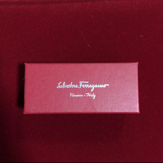 Salvatore Ferragamo(サルヴァトーレフェラガモ)のSalvatore Ferragamo ネックレス レディースのアクセサリー(ネックレス)の商品写真
