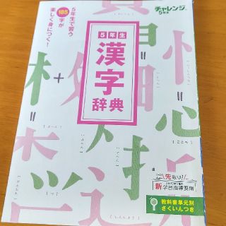 チャレンジ5年生(語学/参考書)