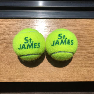 ダンロップ(DUNLOP)のテニスボール（DUNLOP ST James）2個(ボール)