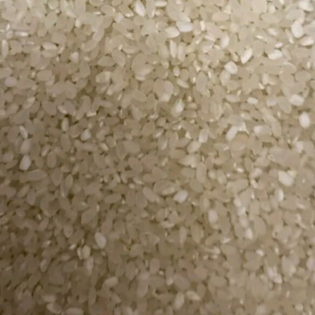 米 食品/飲料/酒の食品(米/穀物)の商品写真